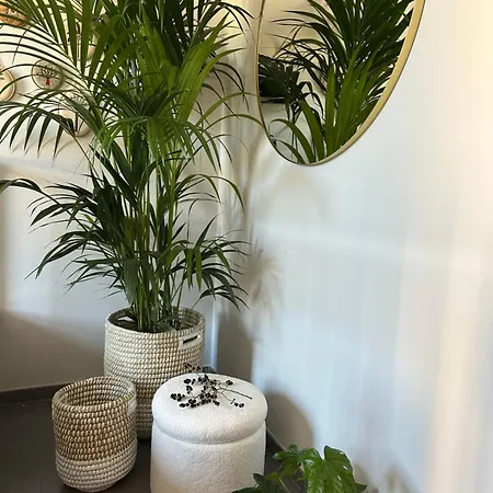 Le Di Torto アパート