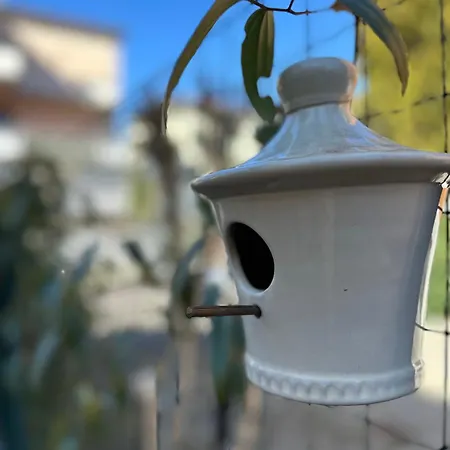 Le Di Torto パルマ