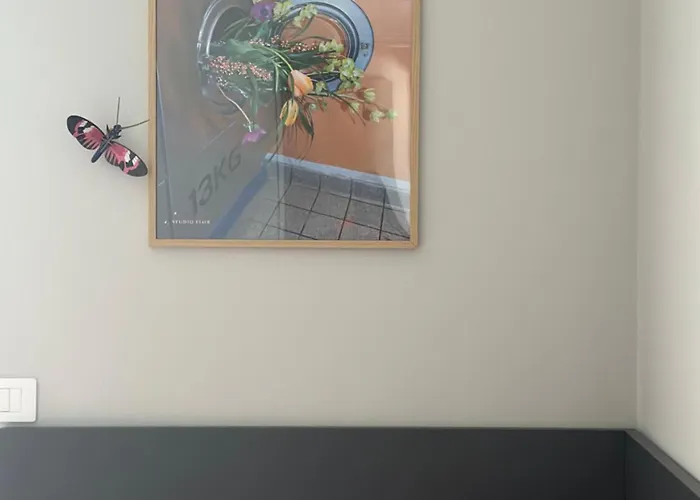 Le Di Torto Parme