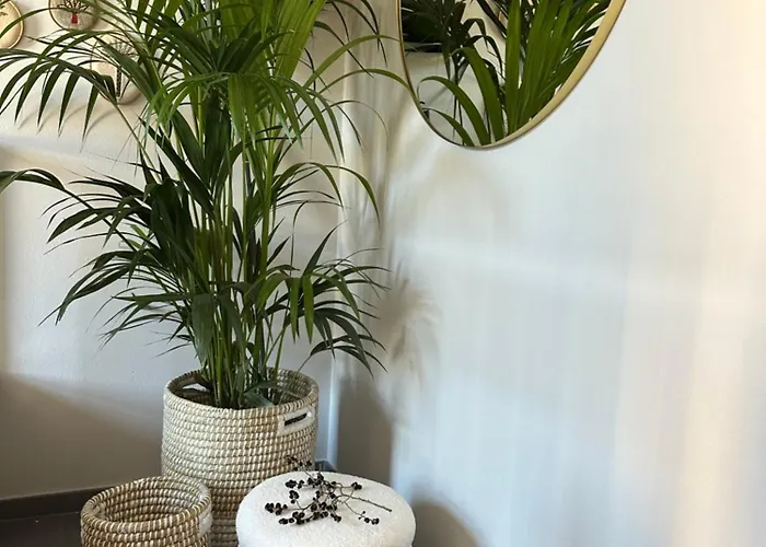 Le Di Torto Appartement